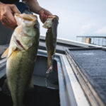 From Novice to Champion: How to Prepare for Your First Bass Fishing Tournament as a Beginner