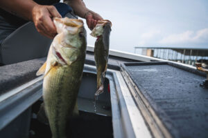 bass fishing tournaments for beginners||