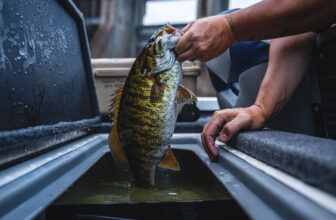 host a charity fishing tournament fundraiser