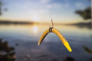 tips for fishing the wacky worm rig|what is a wacky worm rig|catching a bass on the wacky worm rig