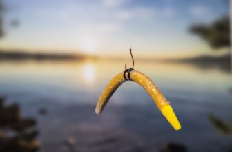 tips for fishing the wacky worm rig|what is a wacky worm rig|catching a bass on the wacky worm rig