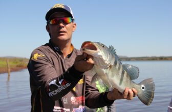 A Step-by-Step Guide on How to Host a Fishing Tournament