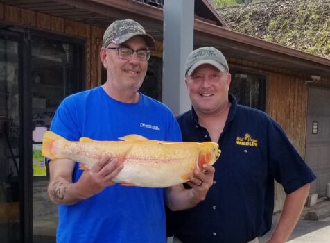 WV state record golden trout caught in Raleigh County
