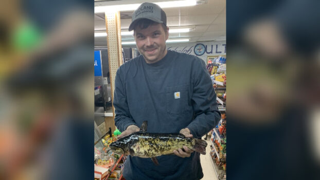 Bowfisherman scores world record fish in Missouri