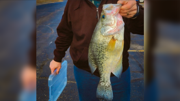 Kansas man breaks state fishing record