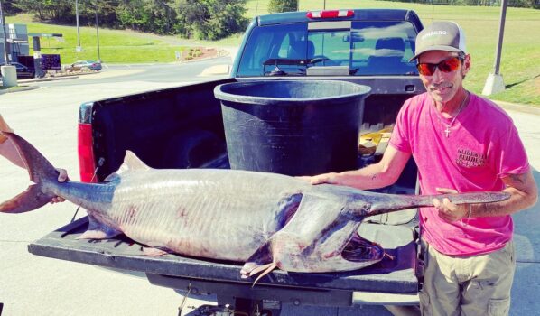 Tennessee Man Snags New State-Record Paddlefish