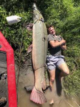 207-pound alligator gar caught in Texas breaks local record, appears longer than fisherman