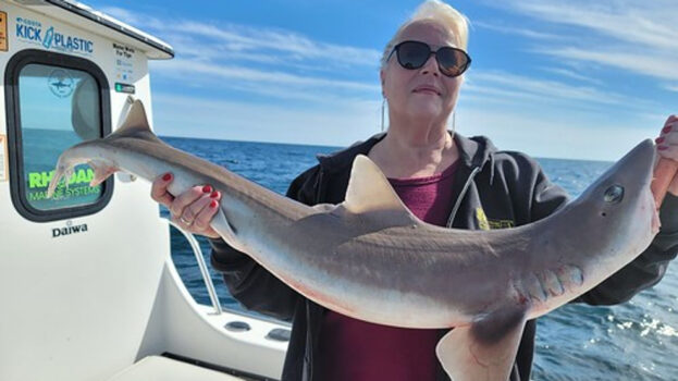 Pennsylvania woman breaks Maryland state fishing record with 18-pound smooth dogfish shark