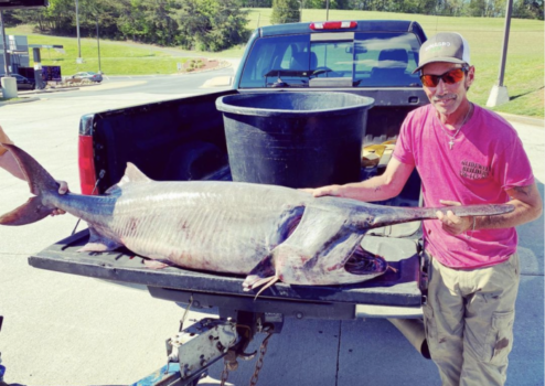 Record-Breaking Paddlefish Outweighs Angler Who Caught It