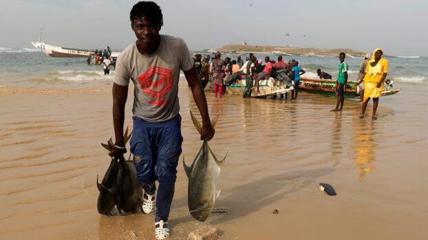 Senegal okays Chinese boats with illegal fishing record, Greenpeace