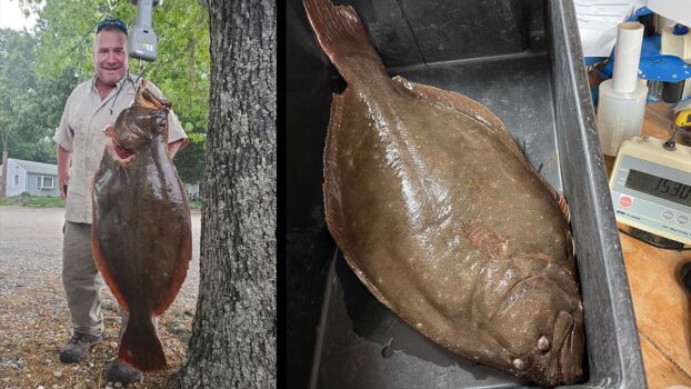 Angler Boats Record Flounder in Connecticut