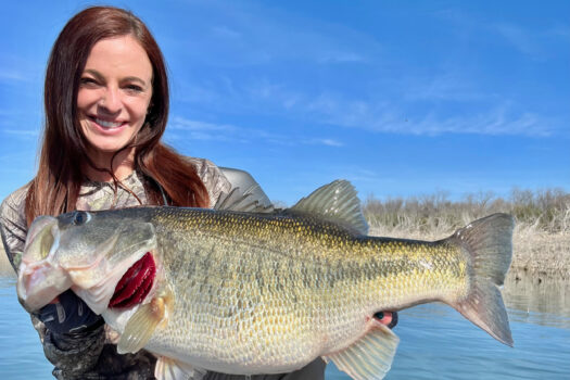 Everything's Bigger in Texas: Angler Lands World-Record Largemouth Bass