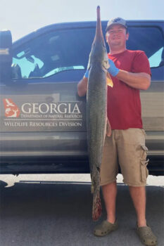 Fisherman in Georgia reels in 27-pound longnose gar, may be largest in Lake Allatoona history