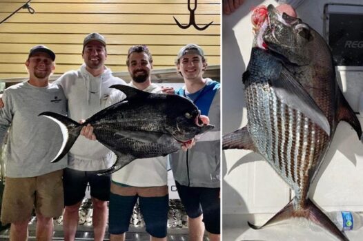 North Carolina anglers go swordfishing, instead catch rare species: 'Prehistoric, almost'