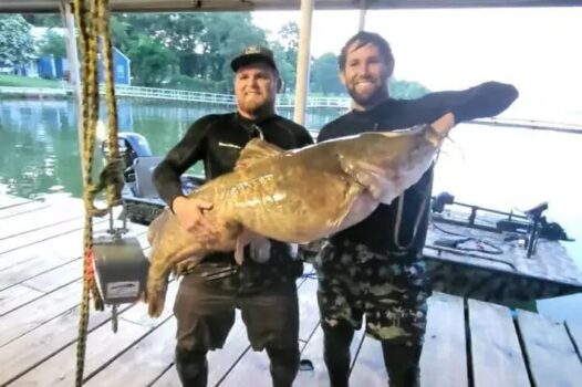 Texas noodlers catch massive potential record-breaking catfish