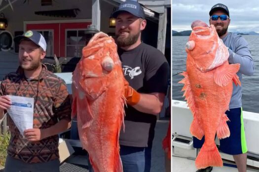 Fishing Guide Catches Record-Setting Rockfish in Alaska