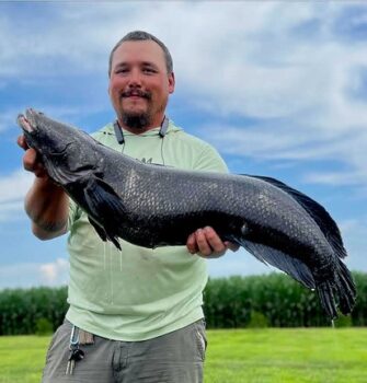 Kayak Angler Hauls in New MD Record Snakehead