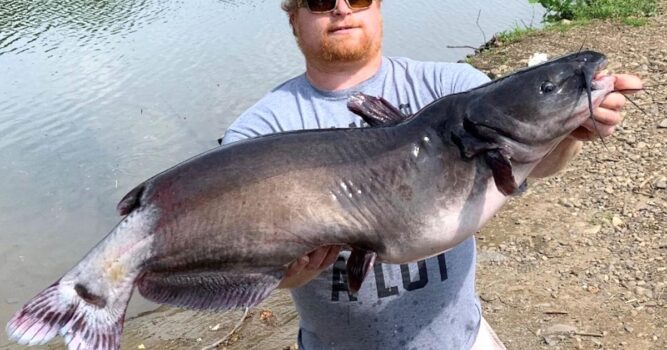 Lightning strikes twice: Moorefield man catches record fish again | Sports