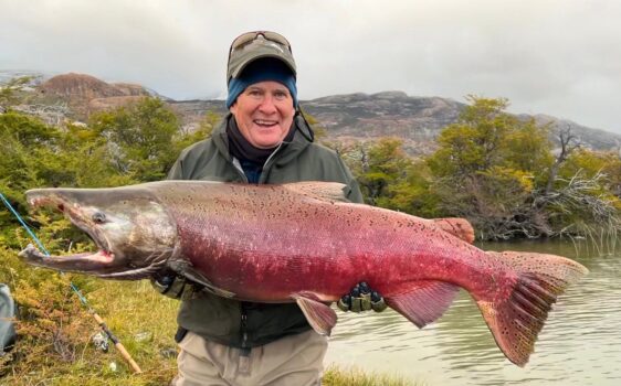 Angler Catches, Releases Pending World-Record Chinook