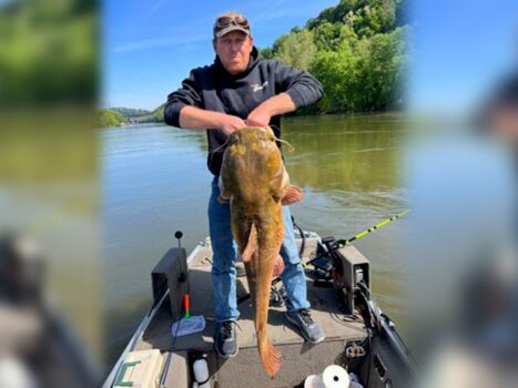 Giant Catfish Crushes Pennsylvania Record