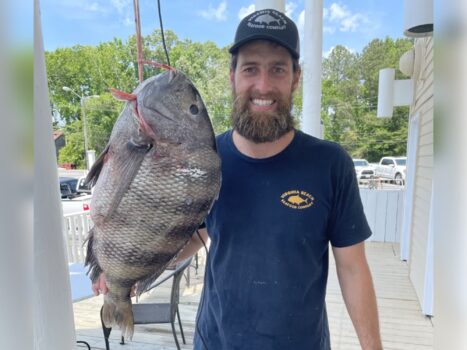 Jet Ski Freediver Spears World-Record Sheepshead