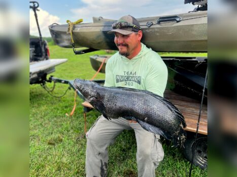 Kayak Fisherman Catches State-Record Snakehead