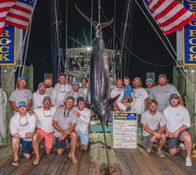 Marlin Catch DQed Due to Shark "Mutilation." Costs Anglers $3.5M