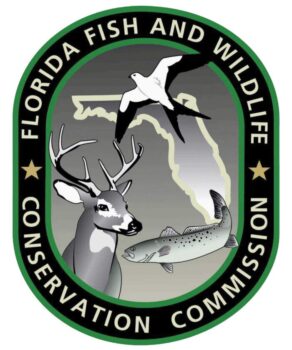 Start planning for the new year: FWC announces new Saltwater Fishing Record categories coming in 2024 | News, Sports, Jobs