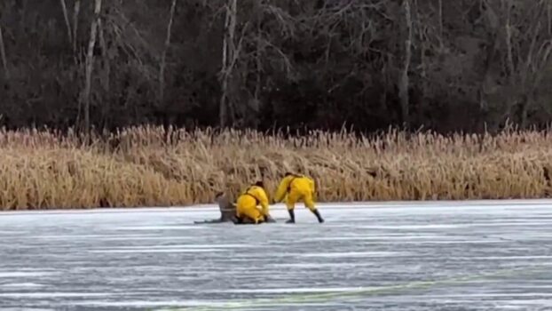 Michigan firefighters make daring rescue on thin ice to retrieve stranded deer