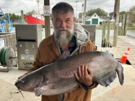 Bridgeville angler Sydney McBroom with 53-pound Delaware record blue catfish caught on the Nanticoke River.