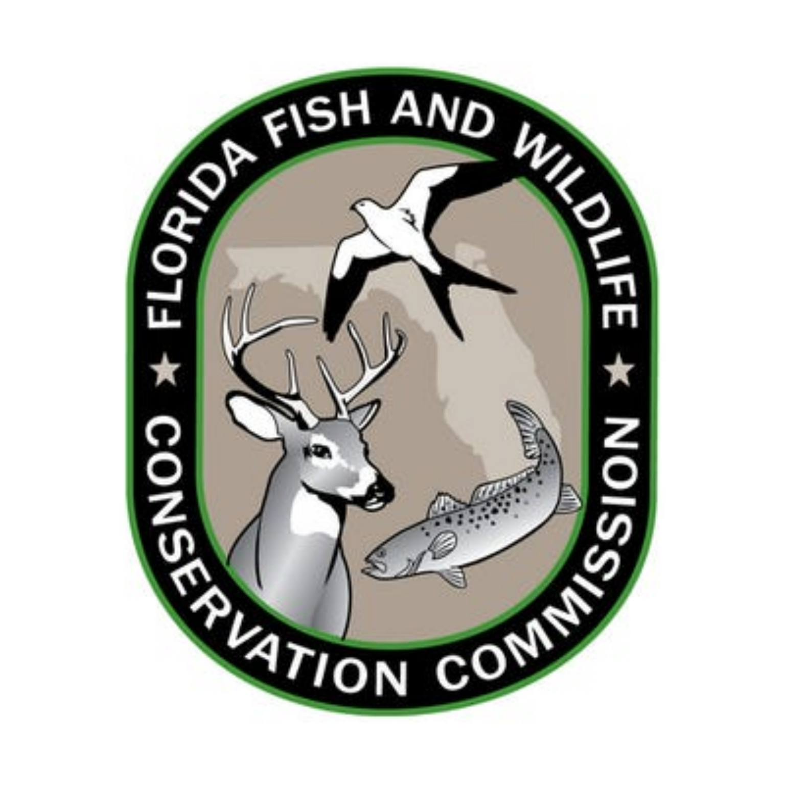 FWC has new saltwater fishing record categories coming in 2024 FishRook