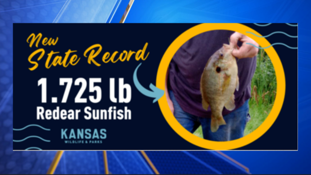 Kansas man breaks nearly 30-year-old state fishing record with trophy catch