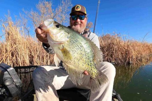 Huge Kayak Crappie Could Be Colo. Record
