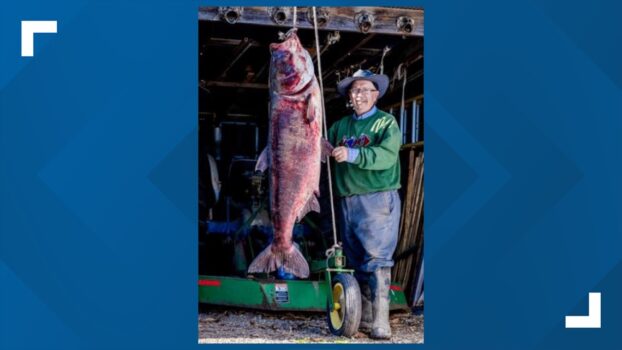 Monster 97-pound carp breaks Missouri, world fishing record