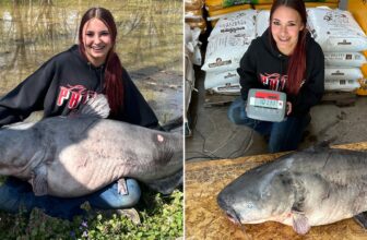 Ohio teen's state fishing record officially certified after 101-pound blue catfish catch: 'I started crying'