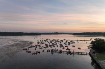 MLF Toyota Series Presented by Phoenix Boats Set to Visit Potomac River for Northern Division Opener