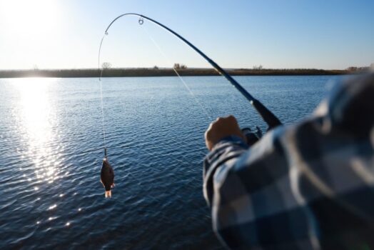 Something fishy: Indiana man caught allegedly cheating in Illinois bass fishing tournament