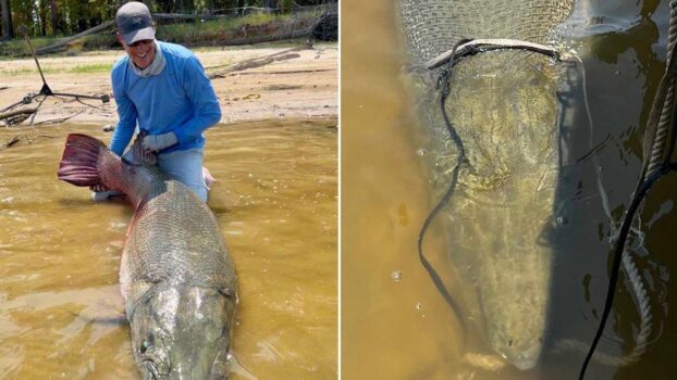 ‘Monster’ 283-pound alligator gar caught in Texas could set two fishing records