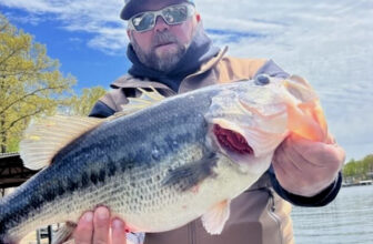 How One Man’s $100,000 Fish Became Another Man’s Dinner