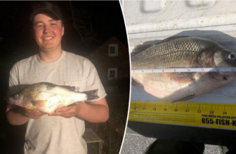 Teenager reels in record-breaking catch while out fishing with his dad