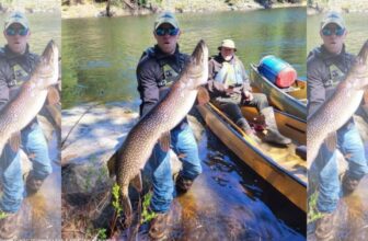 Minnesota Man Misses Chance For State Record With Massive Pike Catch