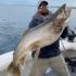 Mako shark grabs fish tied to rope, tug of war ensues