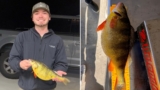 Georgia fisherman ties state record after reeling in surprise ‘trophy-size’ catch