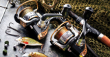 2021’s Best Spinning Reel for All Budgets