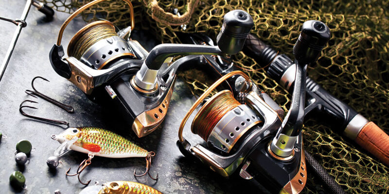 2021’s Best Spinning Reel for All Budgets