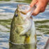 How to Target Big Bass Specifically