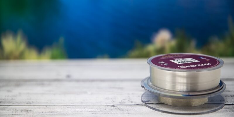 Best Fluorocarbon Line for Spinning Reels 2021