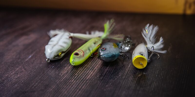 The Ultimate Guide to Topwater Lures for Bass Fishing