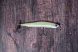 The Ultimate Guide to Spybait for Bass Fishing