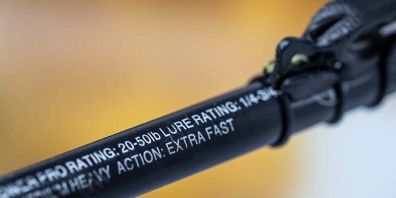 Fishing Rod Action Guide for Beginners